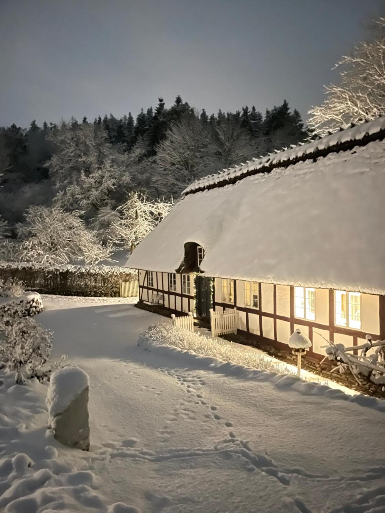 Lillemollens Bed & Breakfast Orbaek  Eksteriør billede