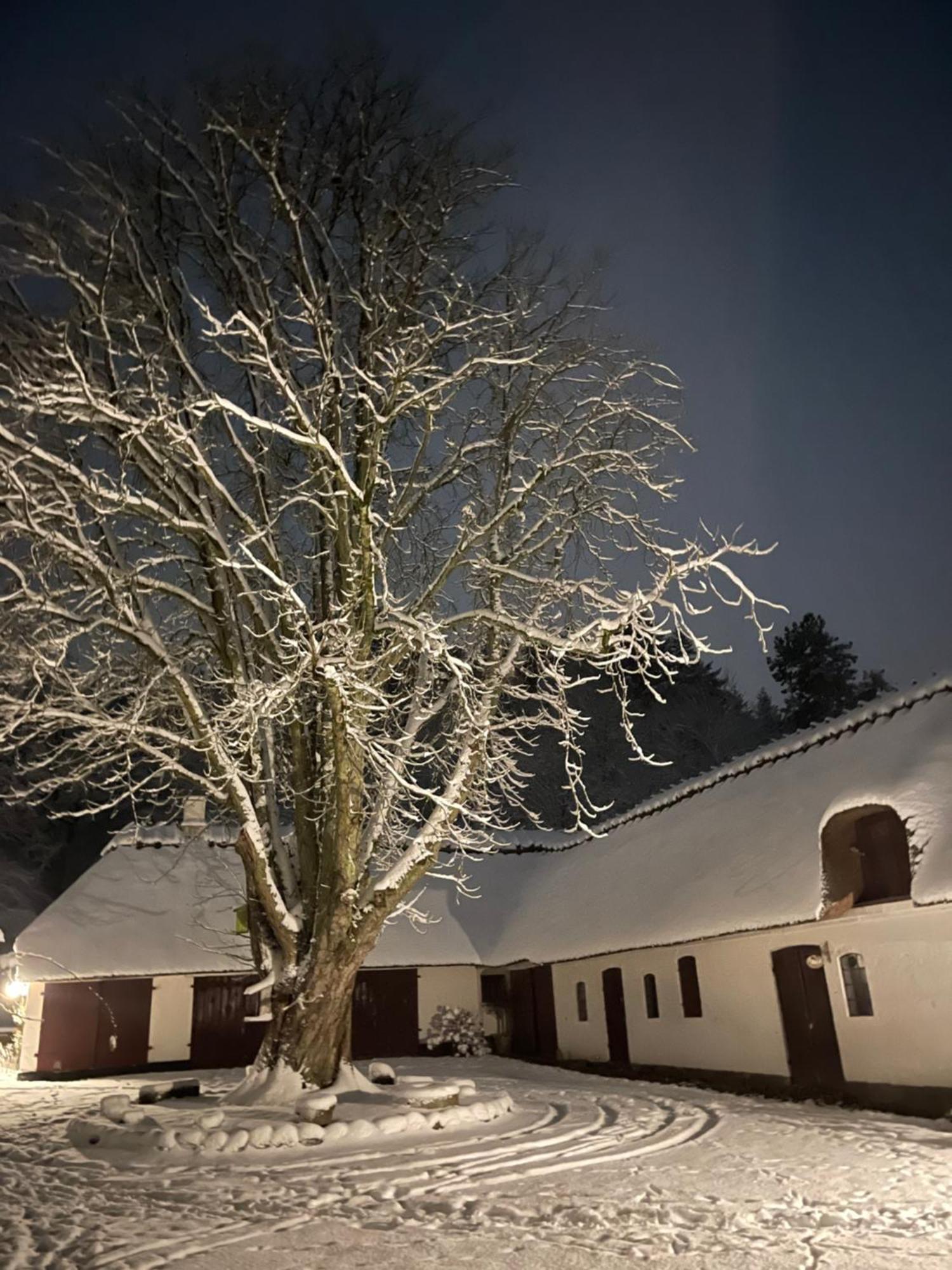Lillemollens Bed & Breakfast Orbaek  Eksteriør billede