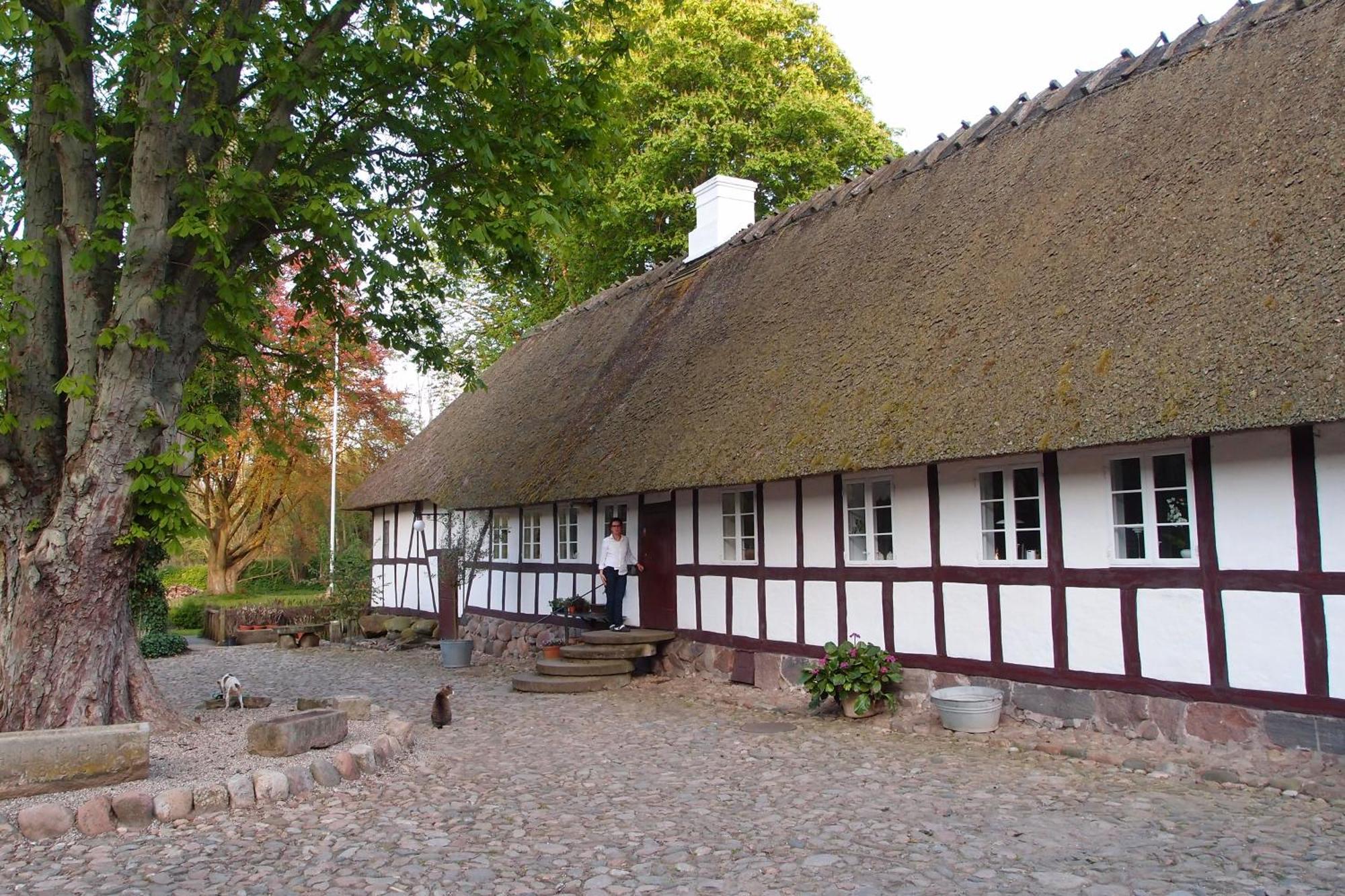Lillemollens Bed & Breakfast Orbaek  Eksteriør billede